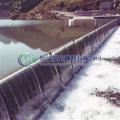 Cancelli di scarico con lunga durata per il controllo dell'acqua