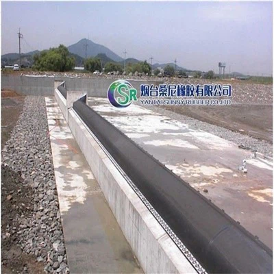 I sacchetti di gomma vengono utilizzati per sostituire le dighe di gomma